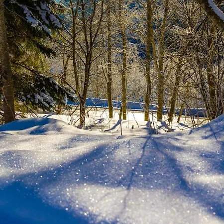 Domek alpejski Sternwarte