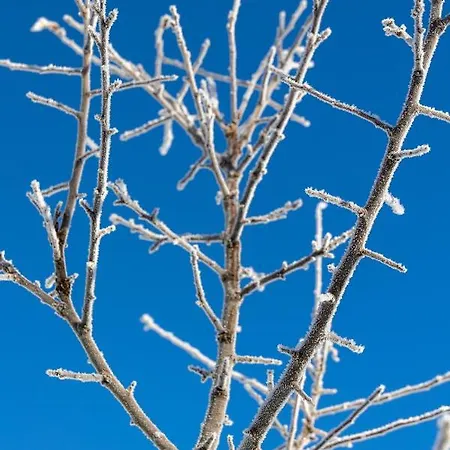 Sternwarte Domek alpejski *