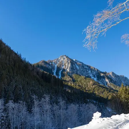 Alpesi faház Sternwarte *