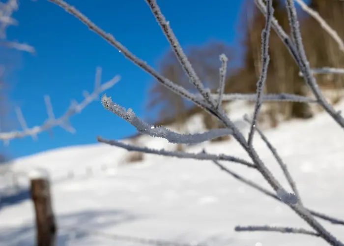 Sternwarte هوهنتاورن