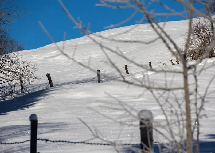 شاليه Sternwarte