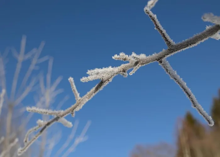 Sternwarte Chalé Hohentauern